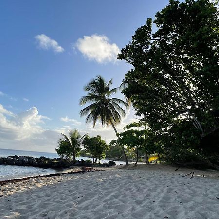 Villa Caraibes Sainte-Luce Εξωτερικό φωτογραφία