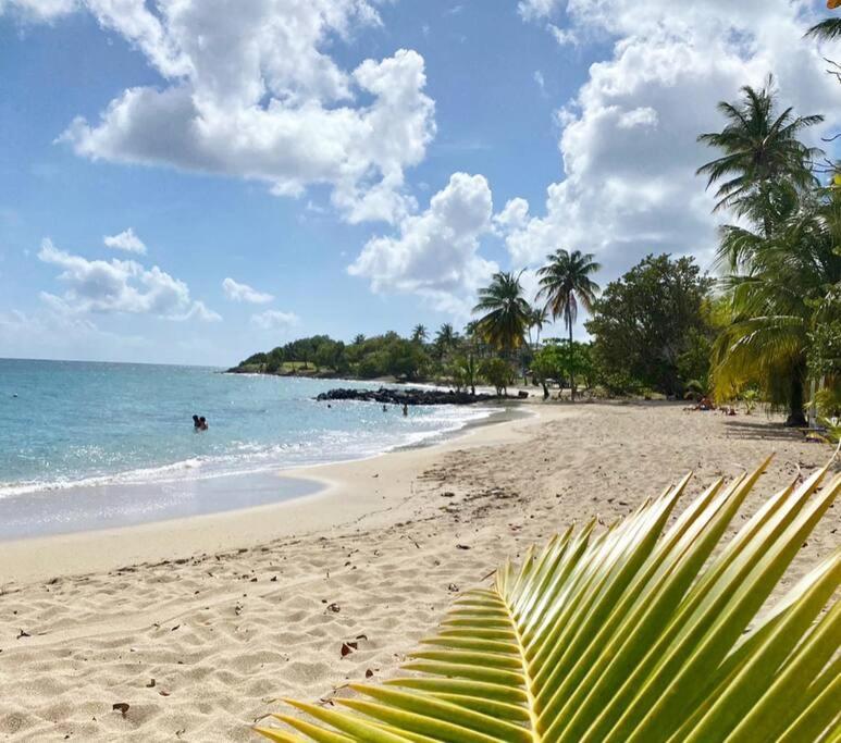 Villa Caraibes Sainte-Luce Εξωτερικό φωτογραφία